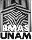 IIMAS UNAM